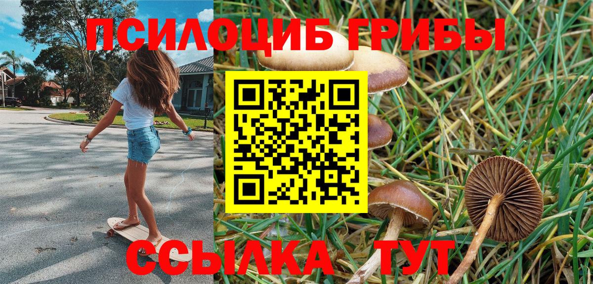 Галлюциногенные грибы MAGIC MUSHROOMS  Псилоцибиновые грибы Cubensis  Вход с VPN  магазин    Тара 